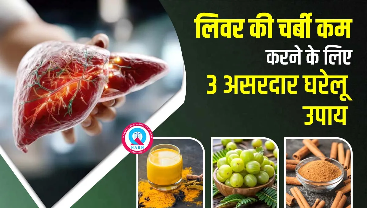 लिवर-की-चर्बी-कम-करने-के-लिए-3-असरदार-घरेलू-उपाय